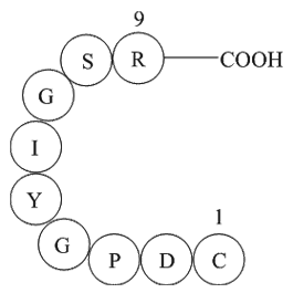 Apexbio Laminin