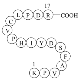 Apexbio Coagulation Factor Ii Thrombin B Chain Fragment Homo