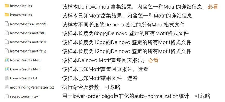 4x99t2gf.png