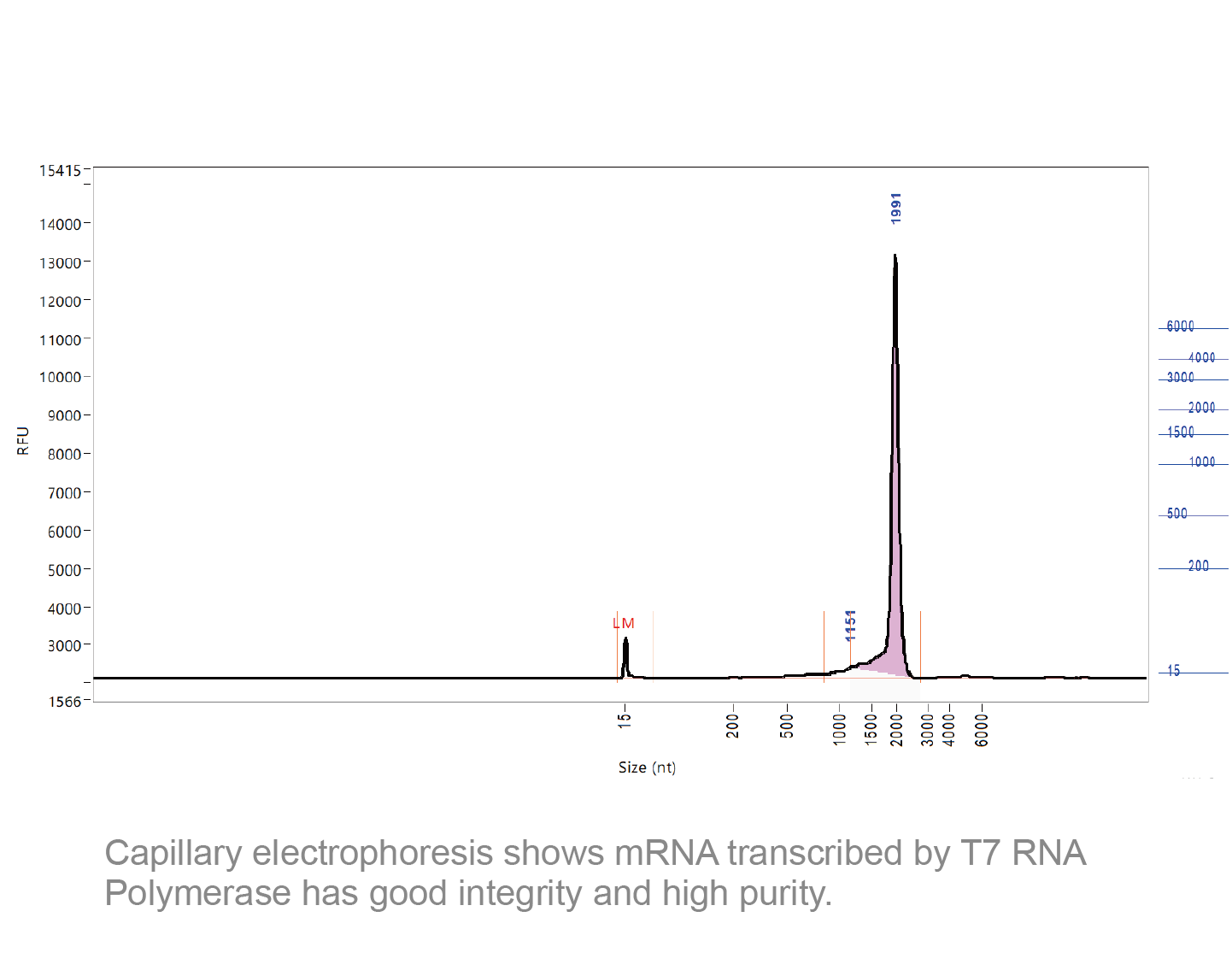 美国apexbio中文官网 Rna Purification