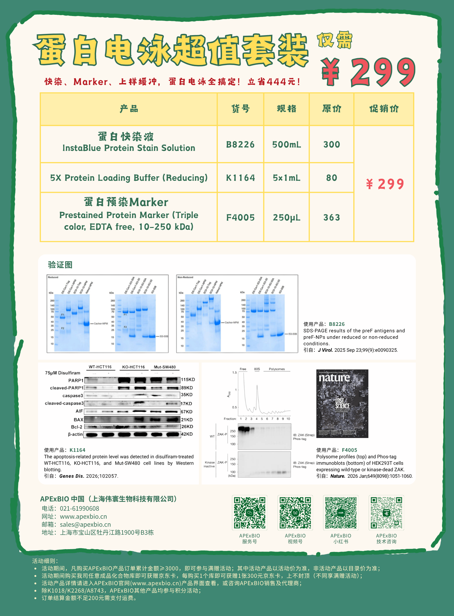蛋白电泳套装 & 活动细则