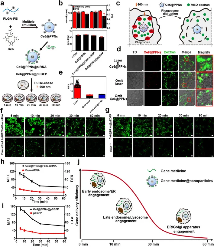 64000000000.webp