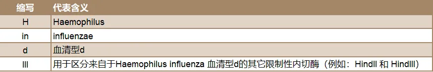 6400.webp