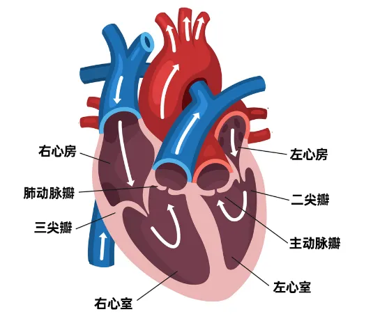 6402.webp