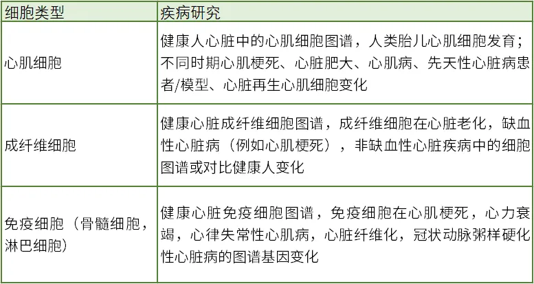6402222.webp