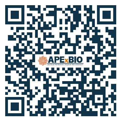 640333333333333.webp