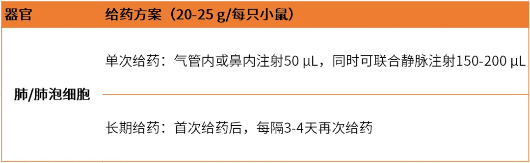 13.webp