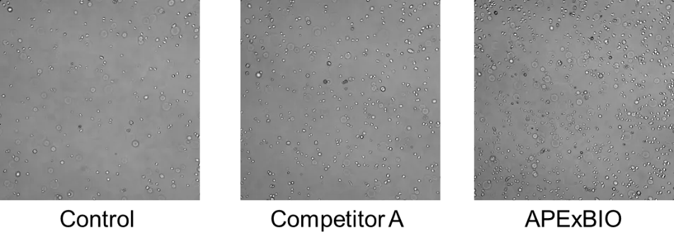 6402.webp