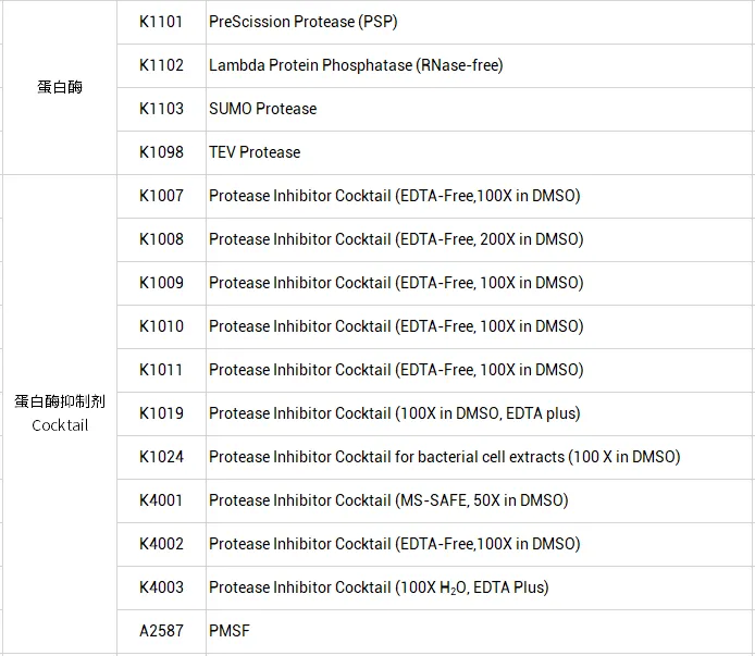 27.webp