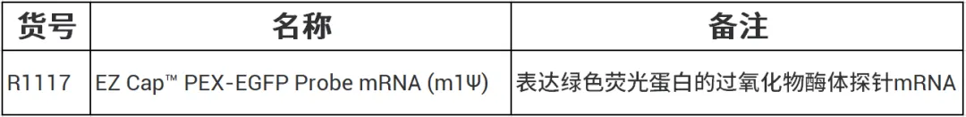 32222.webp