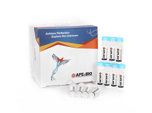 美国APExBIO中文官网 - AEC Peroxidase Substrate Kit for IHC (Red Color, 20X)